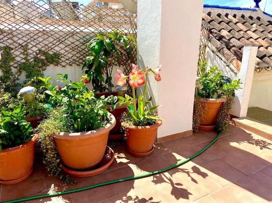 Apartment El Atico De Patricia By Solymar Holiday Torre Del Mar Spain